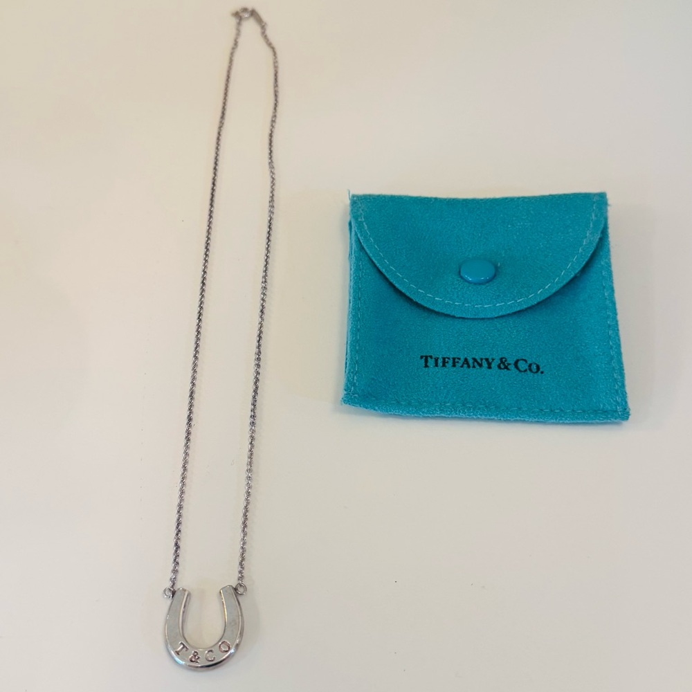 Tiffany & Co. Silver Necklace with Signature Pouch